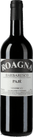Barbaresco Paje Vecchie Viti 2019