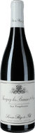 Savigny Les Beaune Premier Cru Aux Vergelesses 2018