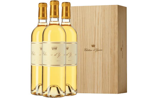 d'Yquem: Sammlerbox: Chateau d' Yquem 1er Cru Superieur  Chateaurelease 2022