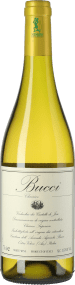 Villa Bucci Bucci Verdicchio dei Castelli di Jesi DOC Classico Superiore 2023