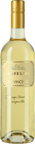 Roberto Anselmi San Vincenzo 2024