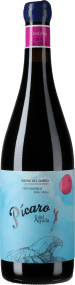 Dominio del Aguila Picaro del Aguila Tinto 2022