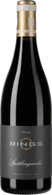 Rings Spätburgunder Gutswein 2023
