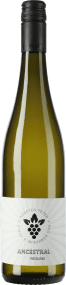 Karsten Peter Riesling Ancestral 2025