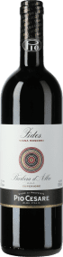 Pio Cesare Barbera d'Alba Superiore Fides Vigna Mosconi 2022
