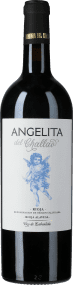 Dominio del Challao – Manuel Michelini Angelita del Challao 2021