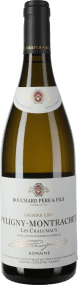 Bouchard Père & Fils Puligny Montrachet Premier Cru Les Chalumaux Domaine 2023