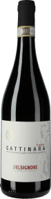 Cantina Delsignore Gattinara Il Putto 2021