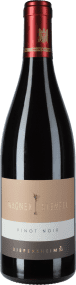 Weingut Wagner-Stempel Spätburgunder Siefersheim Ortswein 2023