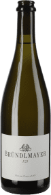 Bründlmayer F25