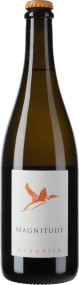 Domaine des Huards Magnitude Vin Mousseux 2023