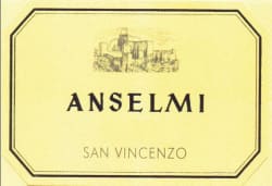 Roberto Anselmi: San Vincenzo 2014