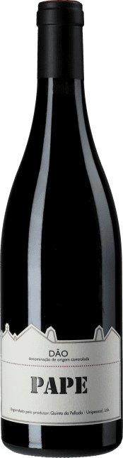 Alvaro Castro: Pape 2011