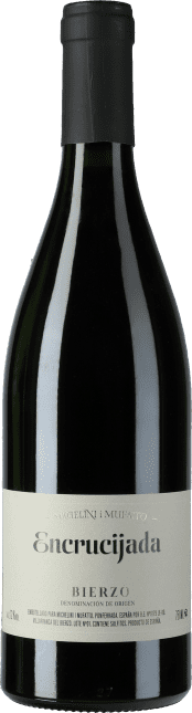 Michelini i Mufatto Bierzo: Encrucijada 2021