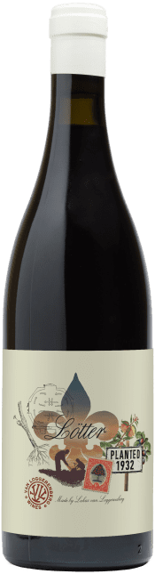 Van Loggerenberg: Lötter Cinsault 2025