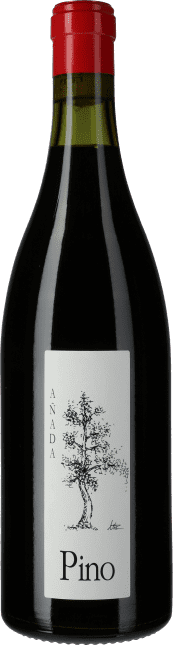 Bodegas y Vinedos Ponce: Pino 2023