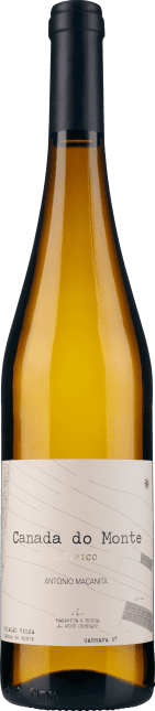 Azores Wine Company: Canada do Monte 2021