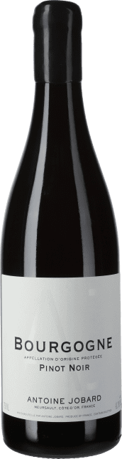 Antoine Jobard: Bourgogne Rouge 2021