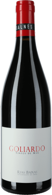 Forjas del Salnes – Rodrigo Mendez: Goliardo Tinto 2021