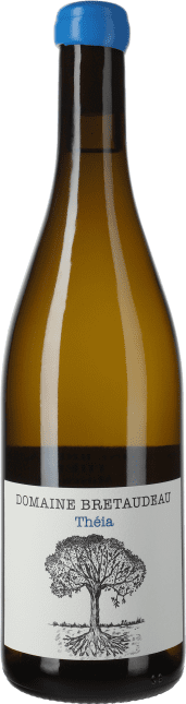 Domaine de Bellevue - Jérôme Bretaudeau: Muscadet Théia 2024