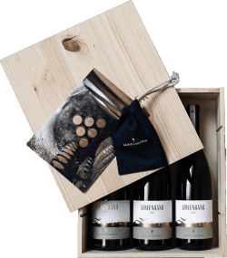 Alois Lageder: Sammlerbox: RARUM Löwengang Chardonnay 2011, 2015 & 2022