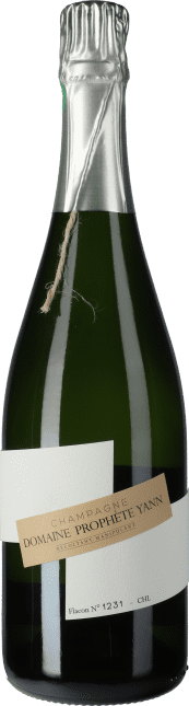 Domaine Prophète Yann: Champagne Blanc de Blancs Millésime Extra Brut 2010
