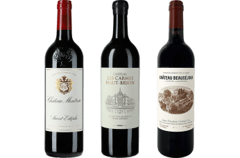 Die 3 Musketiere des Bordeaux Jahrgangs 2025