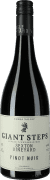 Sexton Vineyard Pinot Noir 2022