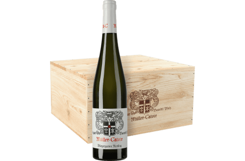 Müller Catoir: Sammlerbox: Riesling Haardt Bürgergarten Jahrgangsvertikale 2017 - 2022 Erste Lage