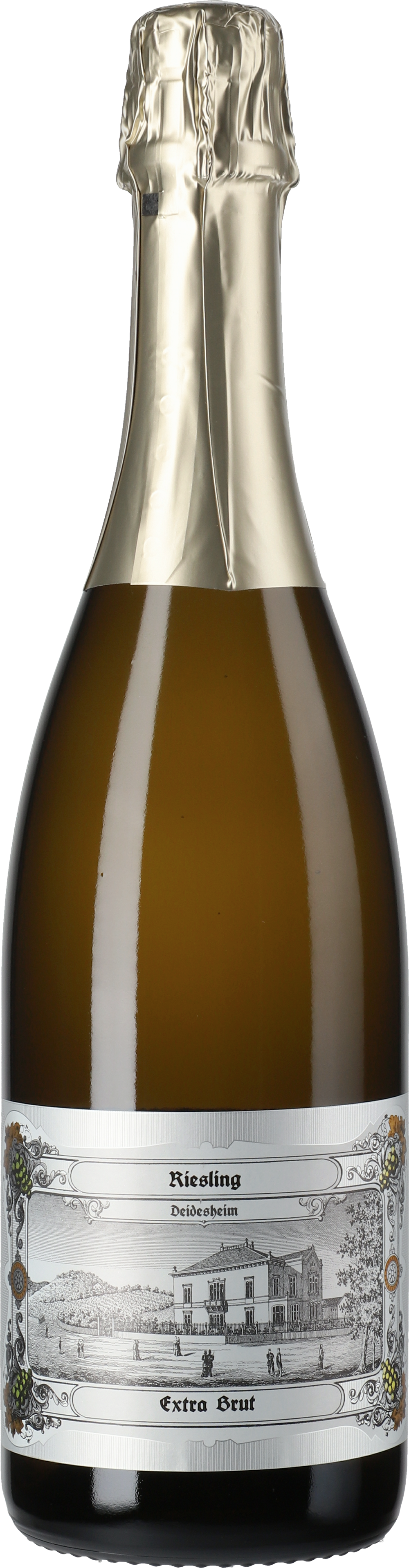 von Winning: Riesling Sekt Extra Brut Dr. Deinhard - Lobenbergs Gute Weine