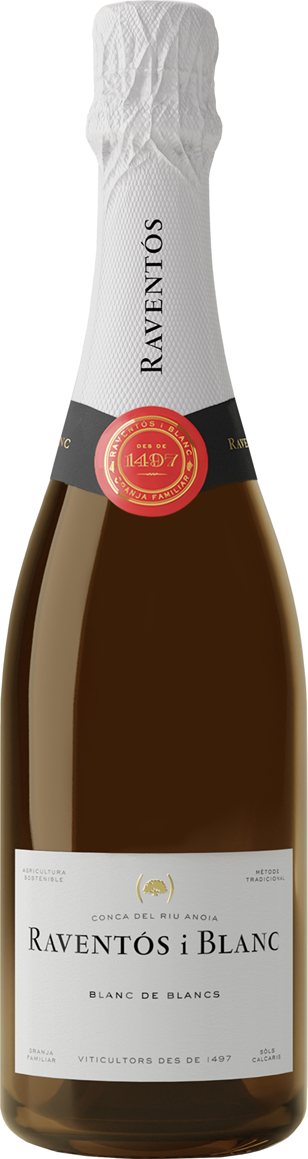 Lobenbergs i Blanc de - (Cava) Weine Blanc: Gute 2021 Raventos Blancs