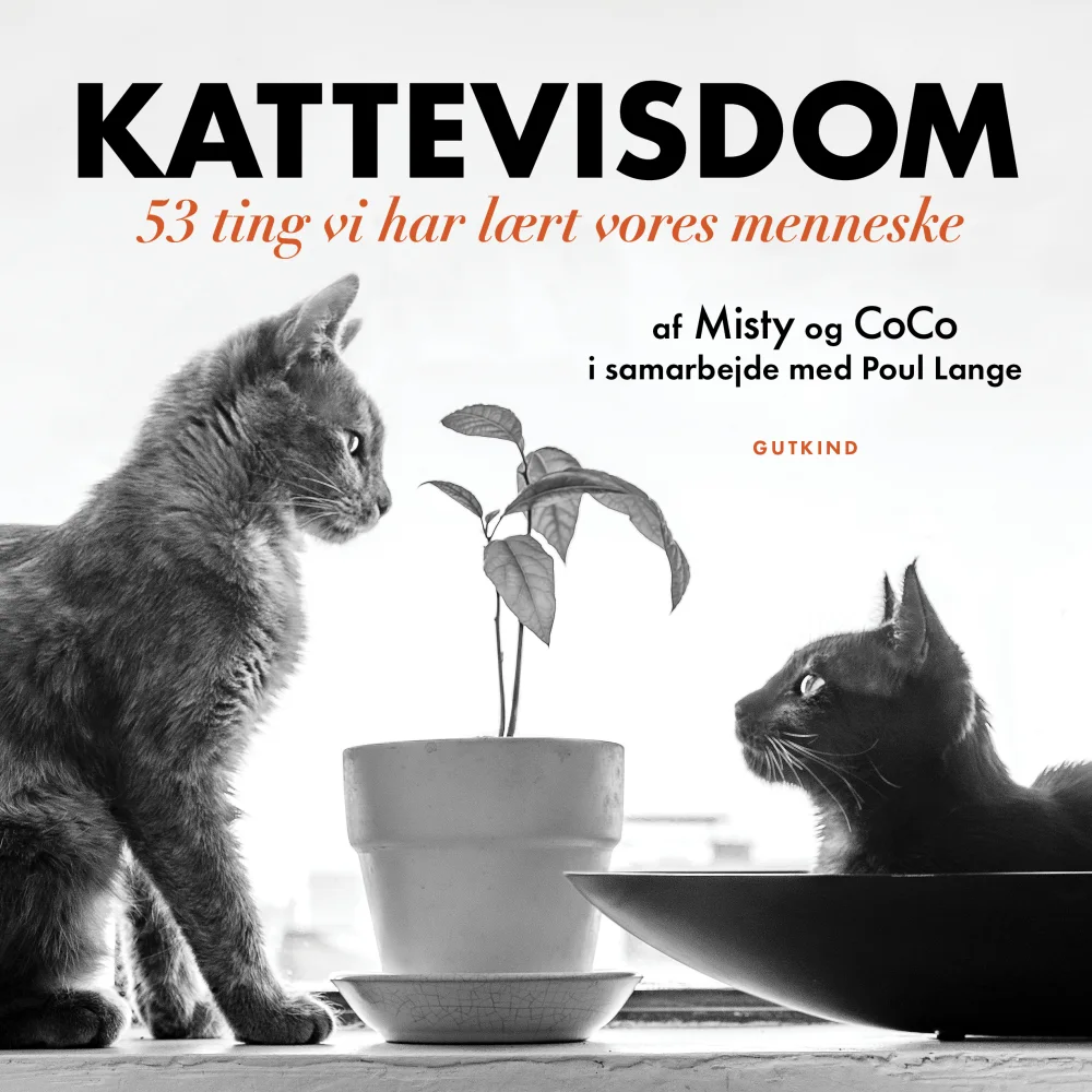 Kattevisdom-Misty & CoCo i samarbejde med Poul Lange_Gutkind Forlag