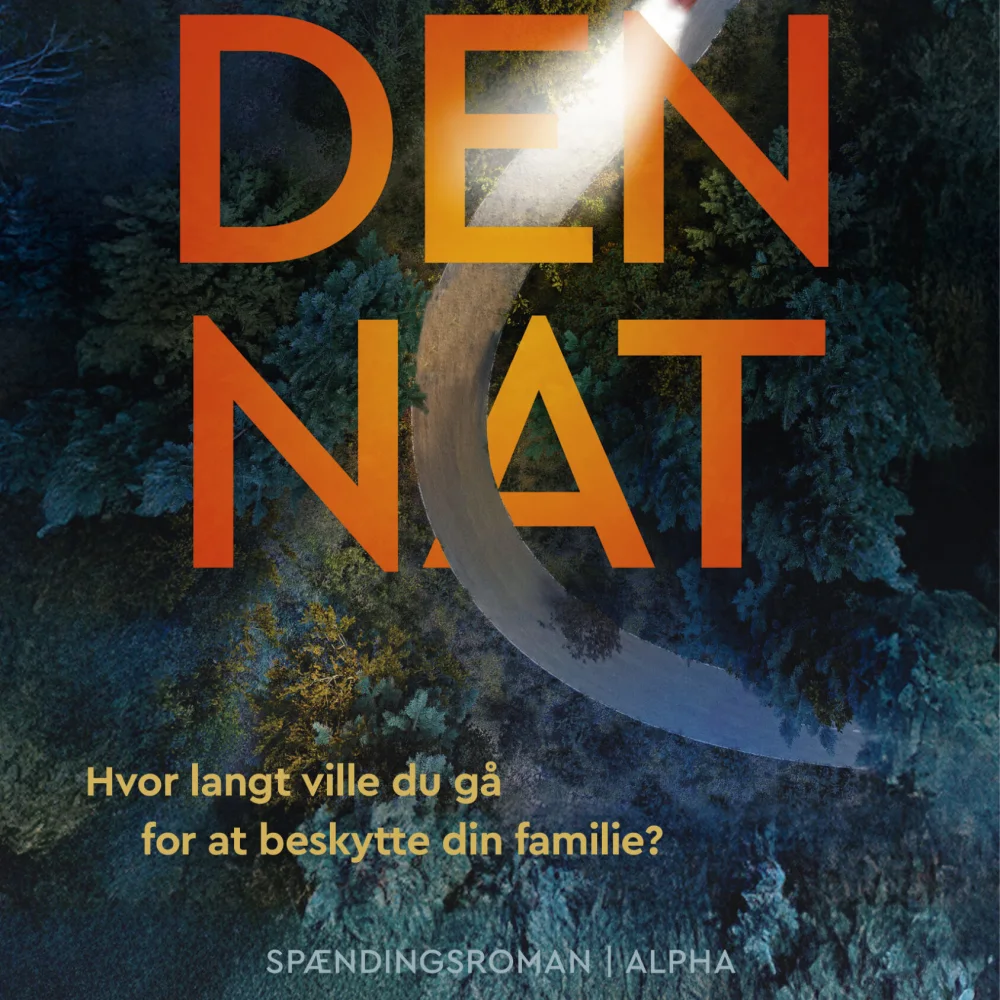 Bogomslag - Gillian McAllister Den nat