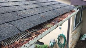 plastic gutters and gutter guards clogged with pine and fir needles