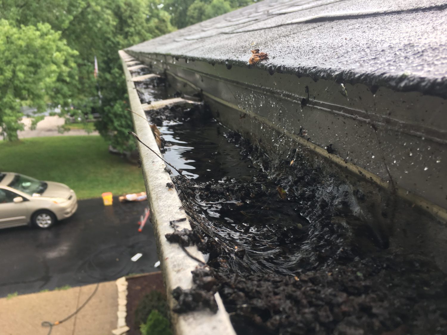 Gutter holding leaves, debris and water prior to gutter cleaning and installing gutter guards
