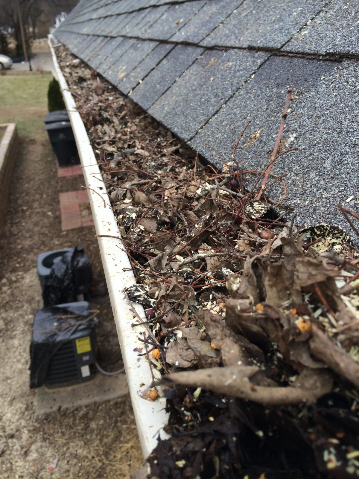 gutter clogged with leaves and twigs prior to gutter cleaning