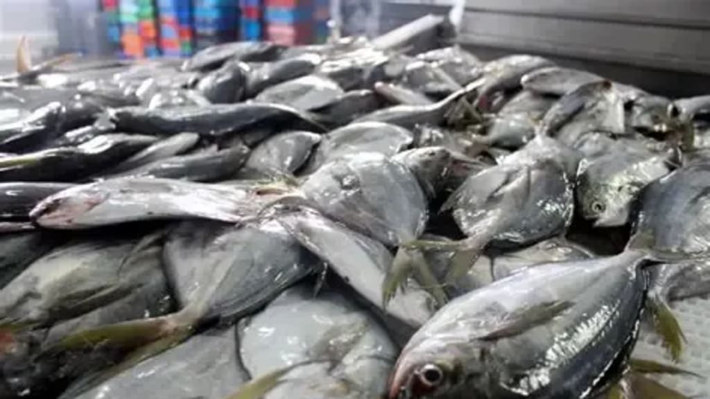 Imagen de pescados frescos