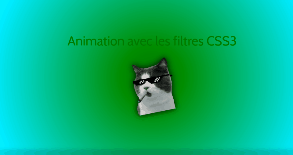 Animation avec les filtres CSS3