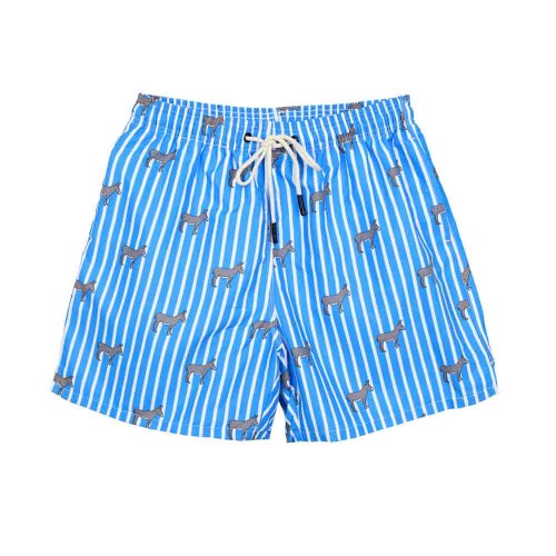 Men's Swim Shorts