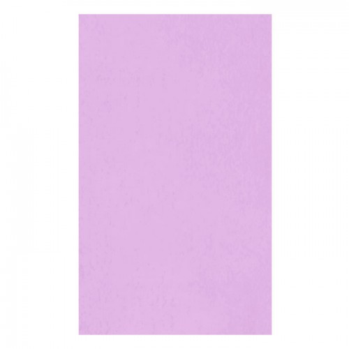 ΠΑΡΕΟ 102662 LILAC 185x115cm 100%RAYON 250GR ΠΑΡΕΟ 102662 LILAC 185x115cm 100%RAYON 250GR