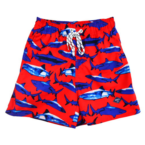 ΜΑΓΙΟ 23655 ΚΑΡΧΑΡΙΕΣ ΑΝΔΡΙΚΟ ΣΟΡΤΣ