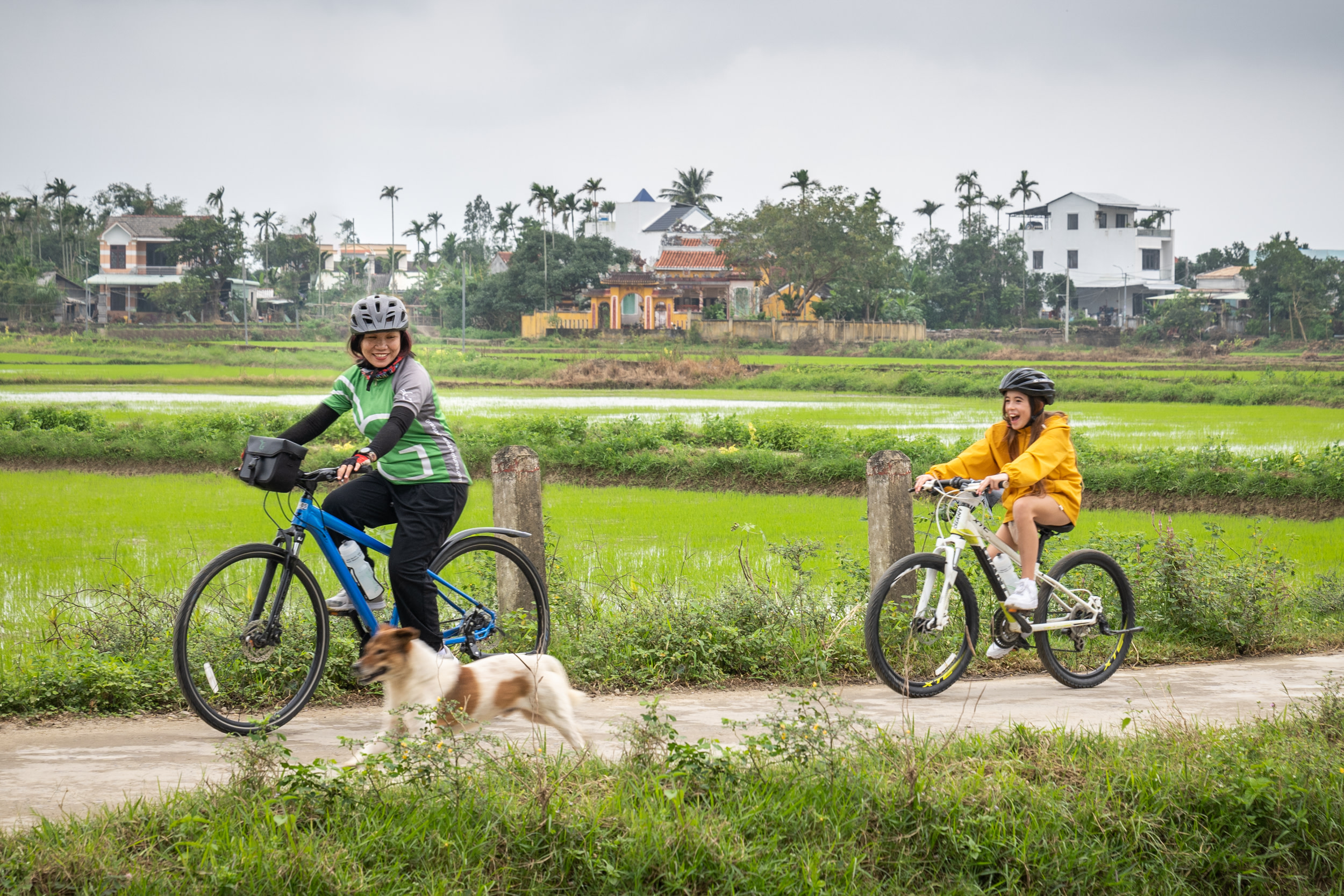 Explore hidden villages and rice paddies
