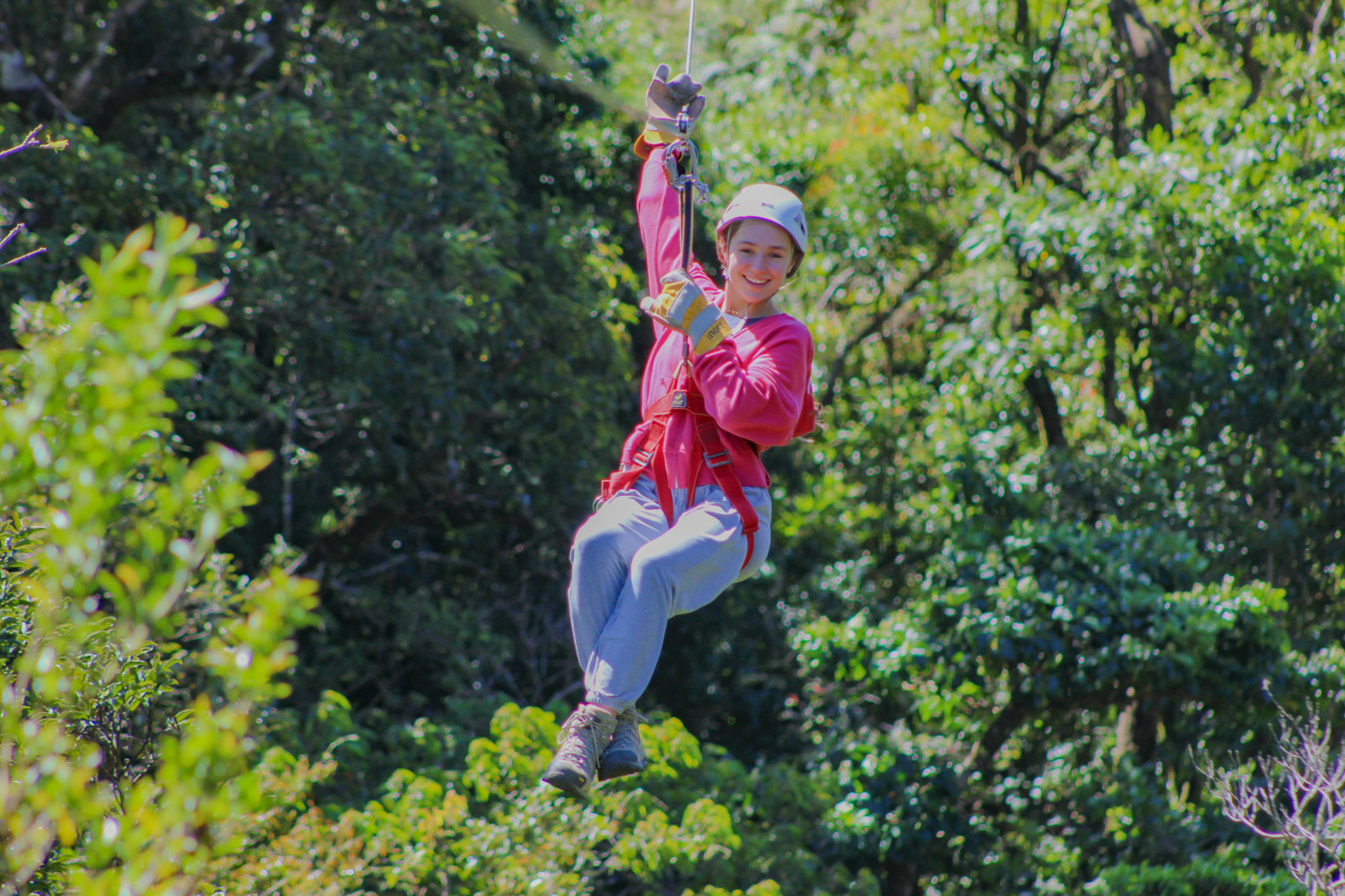 Zipline through the cloud forest canopy