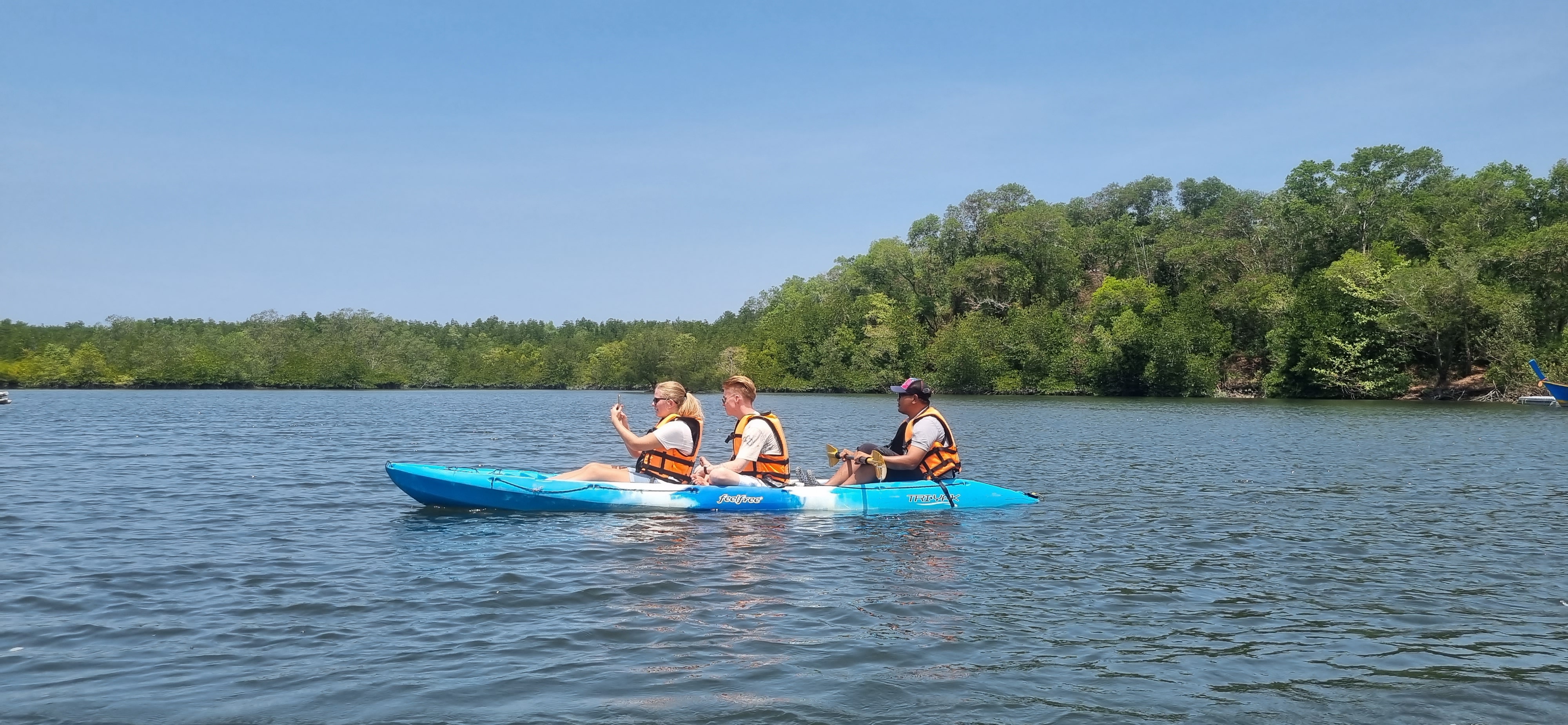 Kayak through spectacular mangrove forests