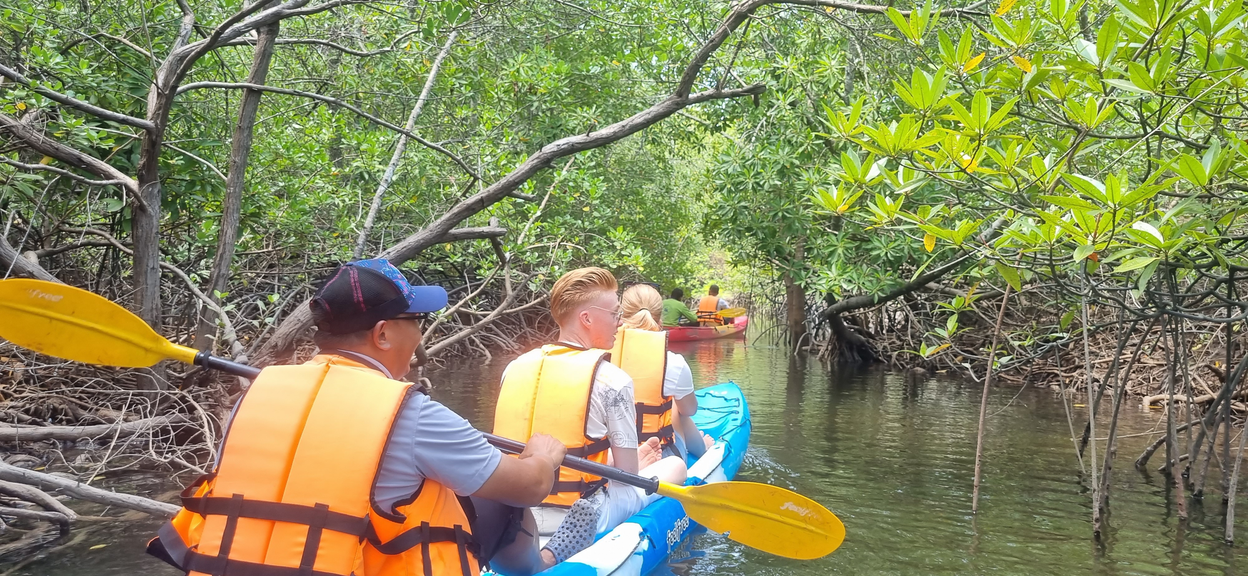 Explore one of the world's oldest rainforests