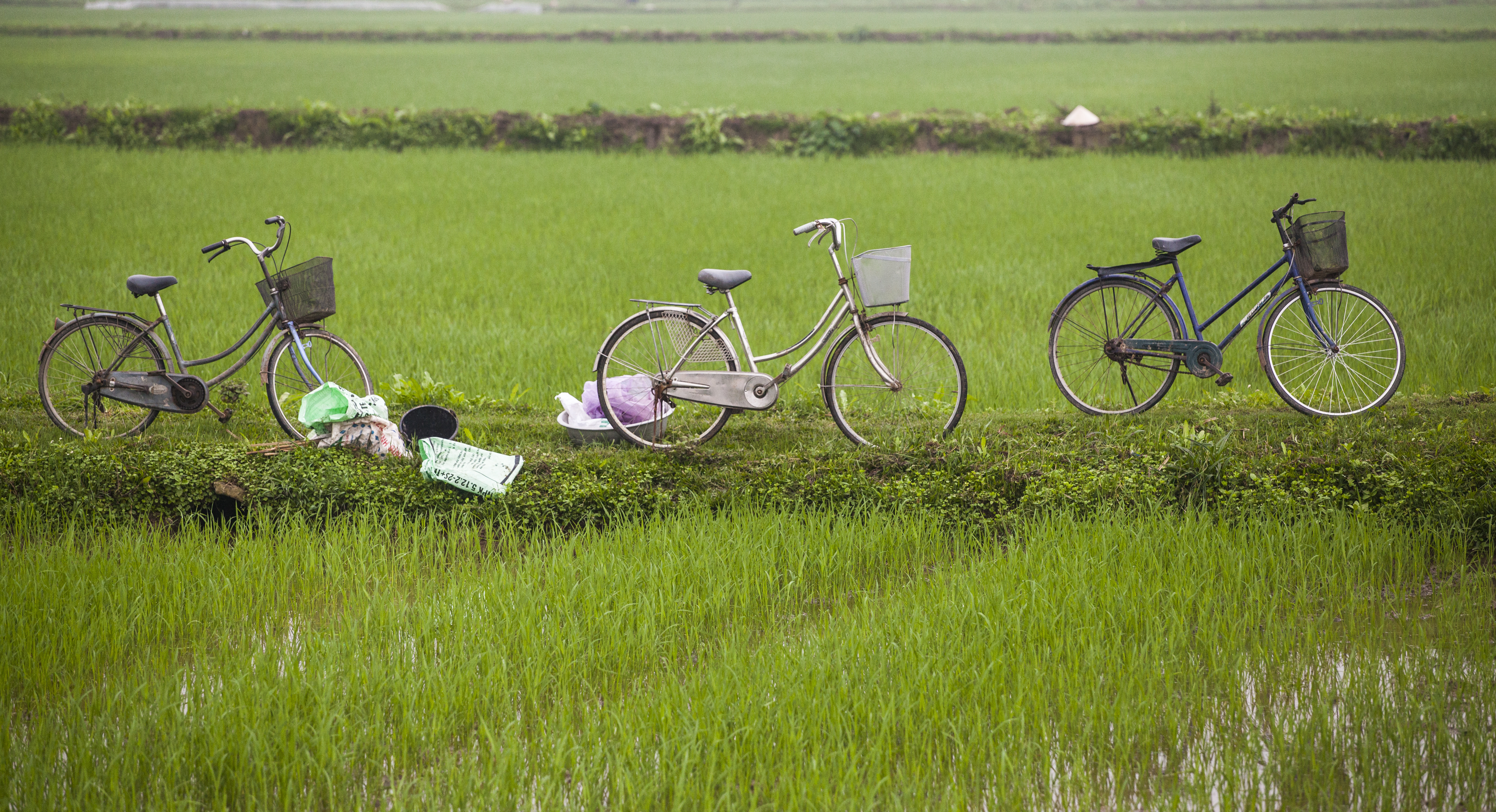 Cycle through spectacular countryside