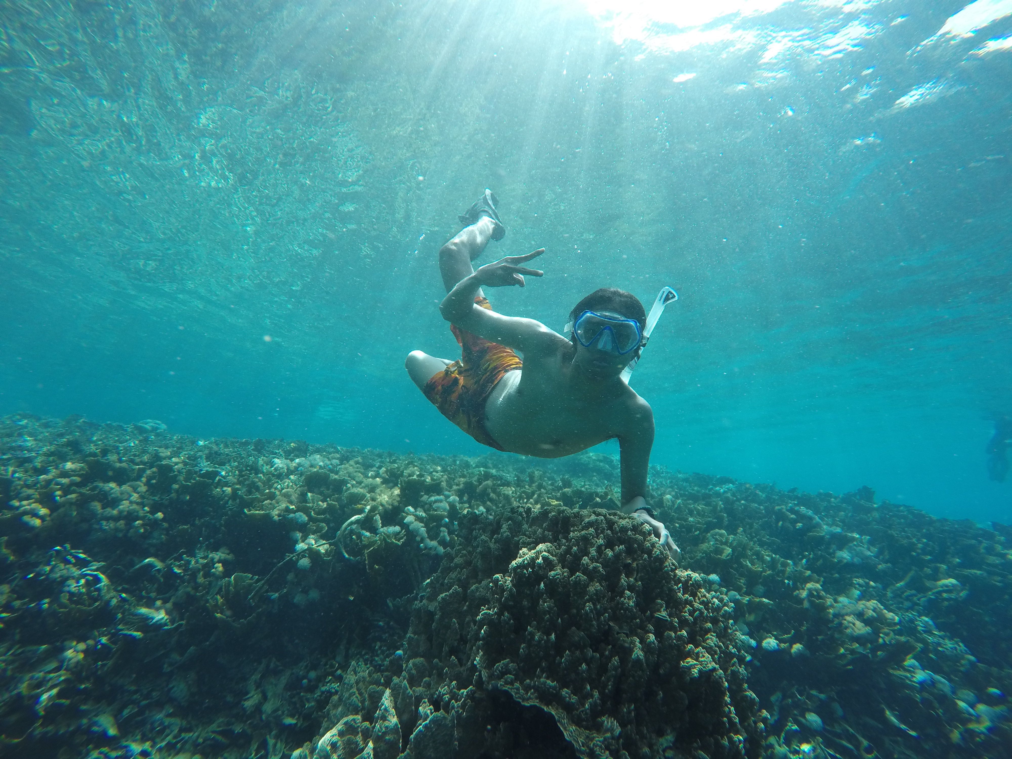 Snorkel around the three Gili Islands, followed by a local BBQ dinner.
