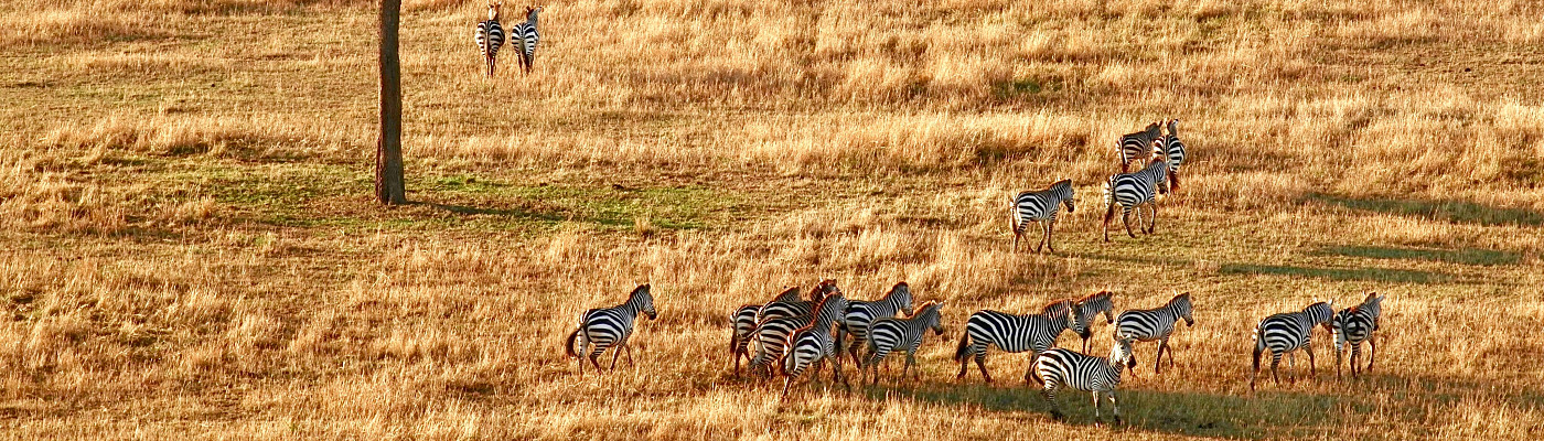Tanzania