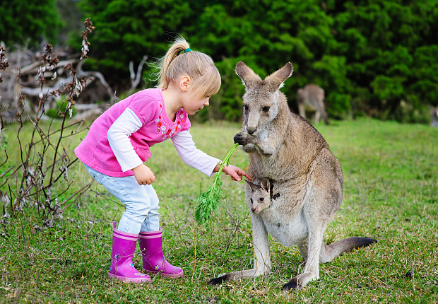 Au Pair in Australia