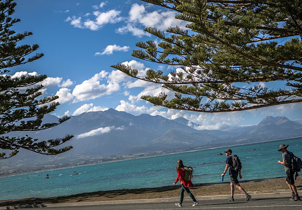 Tour in New Zealand